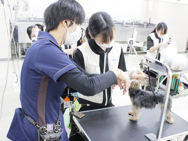 １年生として最後のトリミング！